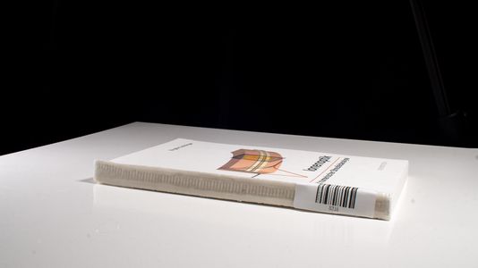 Ionenoptik mit numerischer Streufeldanalyse