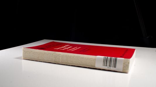 Die Appendix Vergiliana - Niklas Holzberg