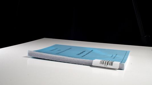 Schizophrenie - forensich-psychiatrische Aspekte