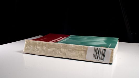 Italienische Literatur des 20. Jahrhunderts / Italienische Romane des 20. Jahrhunderts in Einzelinterpretationen - Manfred Lentzen
