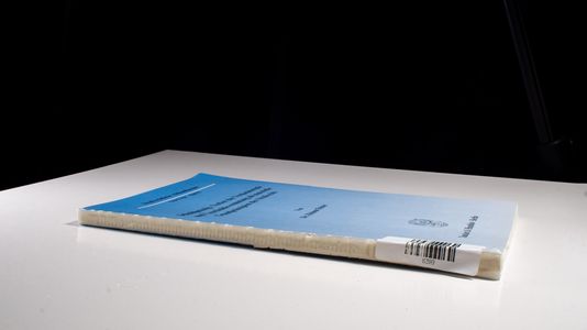 Schuldprinzip, Verbot der Verdachtsstrafe und Unschuldsvermutung als materielle Grundprinzipien des Strafrechts.