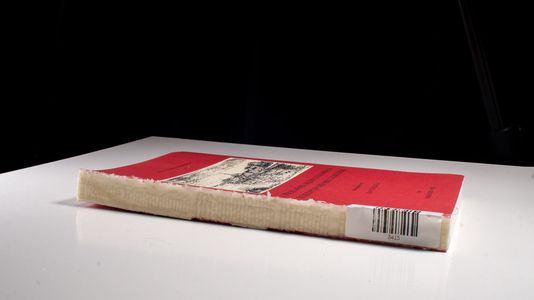Pöchlarner Heldenliedgespräch / Die Rezeption des Nibelungenliedes (Philologica Germanica) - Zatloukal, Klaus