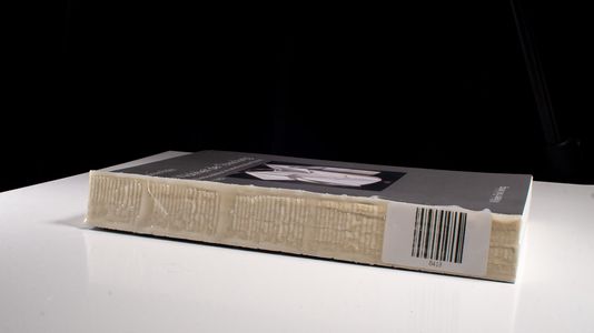 Die Wahrheit der Täuschung - Susanne Rohr