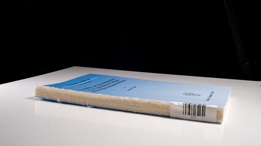 Kausalitäts- und Täterschaftsprobleme bei der strafrechtlichen Würdigung pflichtwidriger Kollegialentscheidungen - Weißer, Bettina