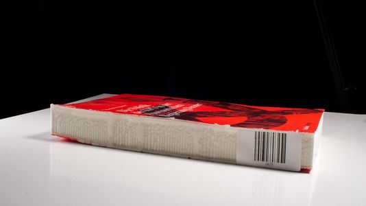 Die Politik der KPÖ in der Provisorischen Regierung Renner - Mugrauer, Manfred