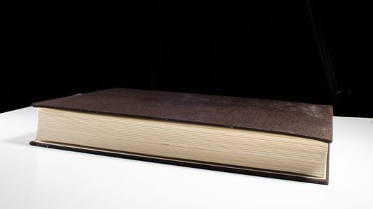 Forschungen und Materialien zur deutschen Aufklärung / Die trostvolle Aufklärung