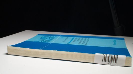 Selbstinszenierung: Vermarktungsstrategien des österreichischen Erfolgsdramatikers Hermann Heinz Ortner