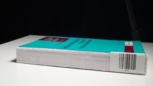 Die Berichterstattung im neuen Insolvenzverfahren Schriften zur Rechnungslegung, Wirtschaftsprüfung und Unternehmensberatung; Bd. 6 Die Berichterstattung im neuen Insolvenzverfahren Schriften zur Rechnungslegung, Wirtschaftsprüfung und Unternehmensberatung; Bd. 6
