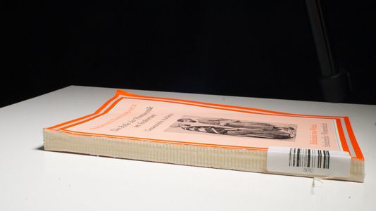 Die Rolle der Homoerotik im Arabertum: Gesammelte Aufsätze 1921-1928 (Bibliothek rosa Winkel - Sonderreihe Wissenschaft)