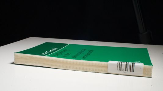 Einführung in die philosophische Hermeneutik