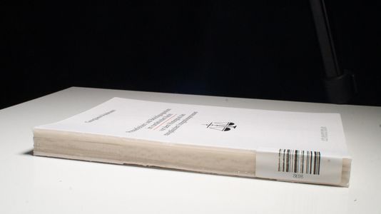 Pressefreiheit und Beleidigungsschutz im rumänischen Recht vor dem Hintergrund des europäischen Integrationsprozesses