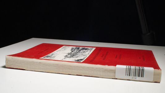 Pöchlarner Heldenliedgespräch. 5. Heldendichtung in Österreich - Österreich in der Heldendichtung
