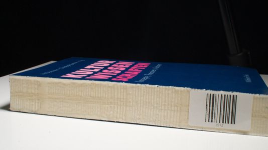 Kulturwissenschaften : Konzepte, Theorien, Autoren