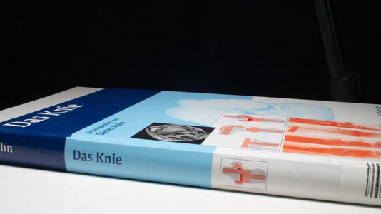 Das Knie