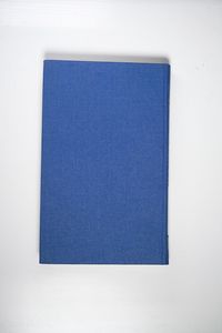 Kleinere Schriften IV (1851-1866) - Ludwig Feuerbach