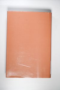 Die Bevölkerung der Stadt Luzern 1850-1914. Demographie, Wohnverhältnisse, Hygiene und medizinische Versorgung - Schüpbach, Werner Die Bevölkerung der Stadt Luzern 1850-1914. Demographie, Wohnverhältnisse, Hygiene und medizinische Versorgung - Schüpbach, Werner