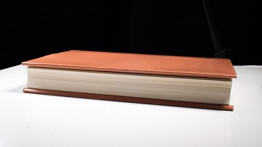 Die Bevölkerung der Stadt Luzern 1850-1914. Demographie, Wohnverhältnisse, Hygiene und medizinische Versorgung - Schüpbach, Werner Die Bevölkerung der Stadt Luzern 1850-1914. Demographie, Wohnverhältnisse, Hygiene und medizinische Versorgung - Schüpbach, Werner