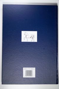 Ein Depot zerschlagener Grossbronzen aus Augusta Raurica: Die Rekonstruktion der beiden Pferdestatuen und Untersuchungen zur Herstellungstechnik (Forschungen in Augst) - Janietz Schwarz, Bettina, Rouiller, Dominique