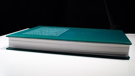 Licht und Wasser: Zur Dynamik naturphilosophischer Leitbilder im Werk Leonardo da Vinci