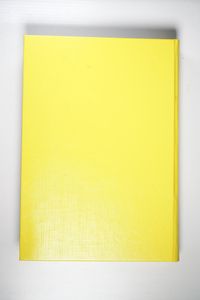 Die Anfänge des Journalismus in China (1860-1911) (Opera Sinologica, Band 9) - Vittinghoff, Natascha