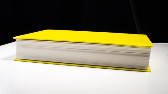 Die Anfänge des Journalismus in China (1860-1911) (Opera Sinologica, Band 9) - Vittinghoff, Natascha