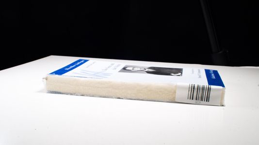 Klassiker Auslegen, Band 22: Jean-Paul Sartre - Das Sein und das Nichts