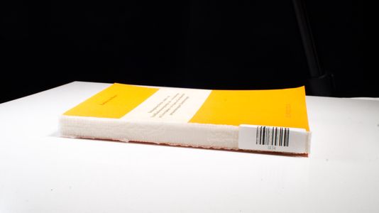 Leben und Werk des Architekten Wilhelm Peter Schmitz (1864-1944). Dombaumeister, Denkmalpfleger, Kunstschriftsteller