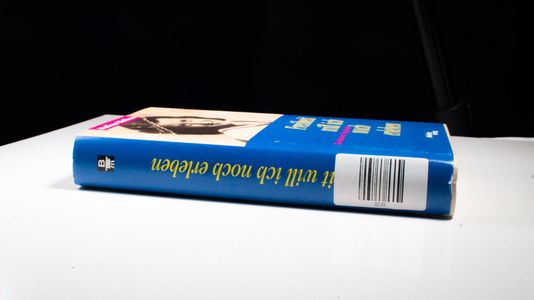 Freiheit will ich noch erleben: Krakauer Tagebuch - Halina Nelken