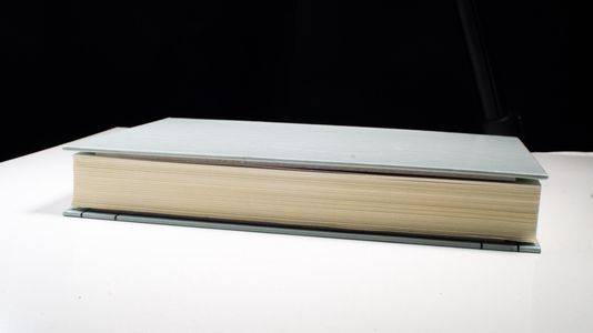 Österreich, die Westmächte und das europäische Staatensystem nach dem Krimkrieg (1856-1859) - Katharina Weigand