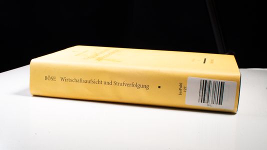 Wirtschaftsaufsicht und Strafverfolgung - Buch