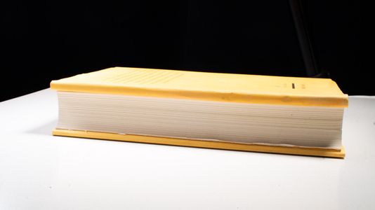 Wirtschaftsaufsicht und Strafverfolgung - Buch