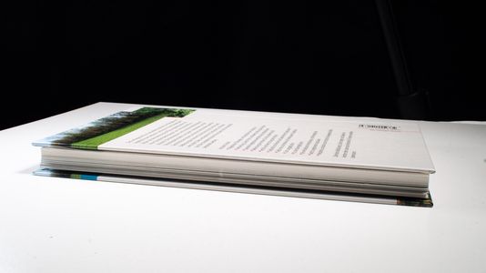 Gebüsche, Hecken, Krautsäume - Heinrich E. Weber