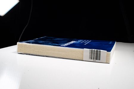 Scheiternde Titanen. De Maistres Papst, Stirners Einziger, Jean Pauls Himmelsstürmer - Maier, Michael