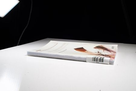 Deutscher SCOR - Preis für Aktuarwissenschaften 2004: Zusammenfassungen eingereichter Arbeiten (Schriftenreihe der SCOR DEUTSCHLAND)