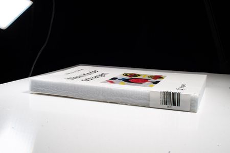 Wenn Kinder sich ärgern: Emotionsregulierung in der Entwicklung - Salisch, Maria von