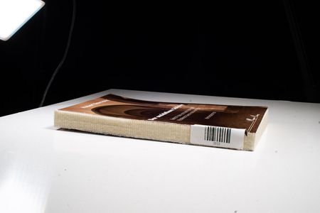 Der unsichtbare Schleier: Bericht des achtzehnjährigen Klosterschülers Hans-Hermann: Bericht des achtzehnjährigen Klosterschülers Hans-Hermann. Kriminalroman