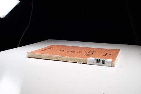 Und du heisst Ignorant: Wege eines hochbegabten Mädchens zu sich selbst