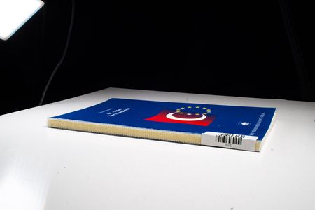 EU-Türkei: Eine Zwangsheirat? - Sylvie Goulard