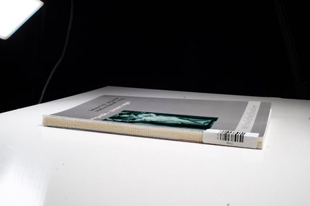 Kunigunde - consors regni - Stefanie Dick; Matthias Wemhoff; Jörg Jarnut