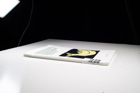 Ultrastruktur der Geschmacksknospen bei dem blinden Höhlenfisch Astyanax jordani (Anoptichthys) und dem sehEND en Flußfisch Astyanax mexicanus - Friederike Boudriot