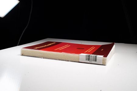 Welfengarten /Weltengarten. Jahrbuch für Essayismus /Deutsch-Afrikanisches Jahrbuch für interkulturelles Denken / Weltengarten 2006