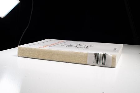 Carl Einstein im Exil / Carl Einstein en exil - Marianne Kröger,Hubert Roland