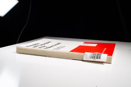 Kausalitat Und Naturgesetz in Der Fruhen Neuzeit: 31 (Studia Leibnitiana - Sonderhefte)