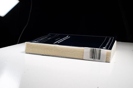 Sozialistische Betriebe und Institutionen als Verklagte im DDR-Zivilprozess (Berliner Juristische Universitätsschriften: Grundlagen des Rechts)