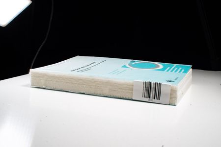 Auf dem Weg zur Macht: Beiträge zur Geschichte der NSDAP in Kärnten von 1918 bis 1938 (Vergleichende Gesellschaftsgeschichte und politische Ideengeschichte) - Elste, Alfred, Hänisch, Dirk