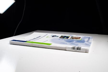 Das Heilfasten: und seine Hilfsmethoden als biologischer Weg - Buchinger, Otto