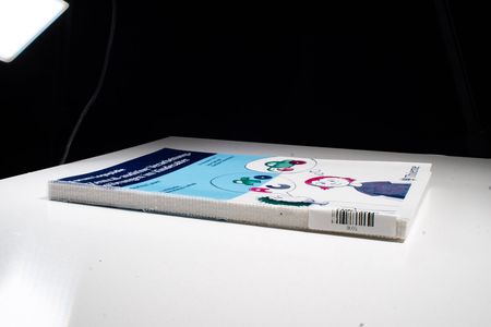 Zentral-auditive Verarbeitungsstörungen im Kindesalter: Grundlagen - Klinik - Diagnostik - Therapie - Lauer, Norina