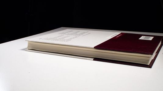 Jahrbuch für Regionalgeschichte 22 (2003) - Reiner Groß