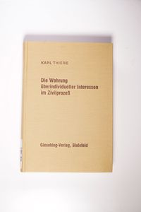 Die Wahrung überindividueller Interessen im Zivilprozess 
