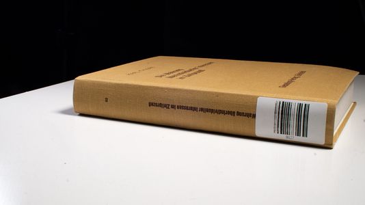 Die Wahrung überindividueller Interessen im Zivilprozess 